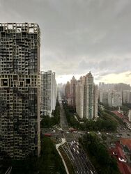 Irwell Hill Residences (D9), Apartment #481119321